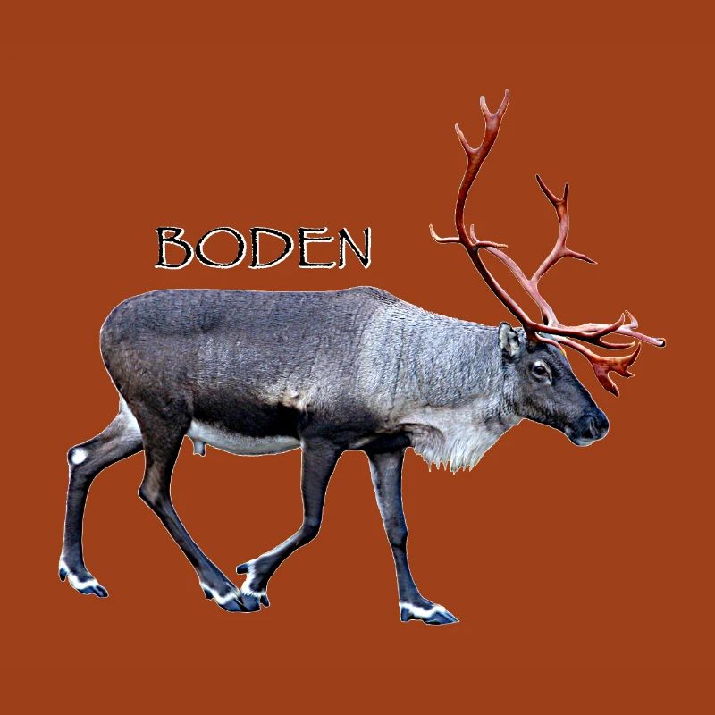 Boden