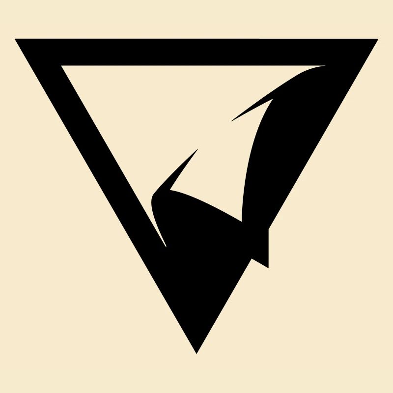 TRIANGLE PATCH