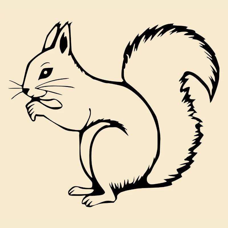 Eichhörnchen