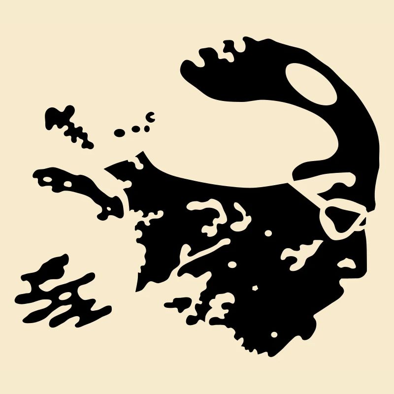 Swimmer