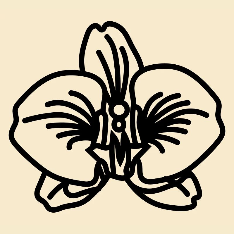 orchidée