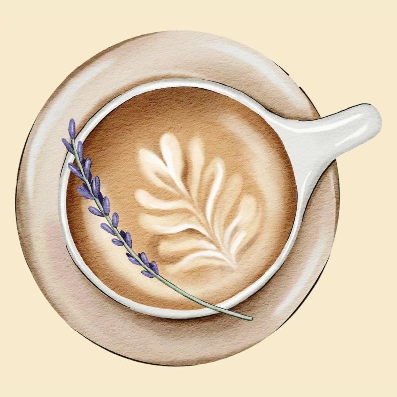 Latte Latte Design confortable