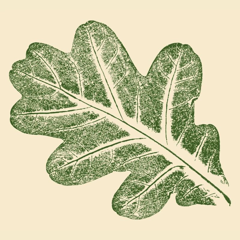 Feuille de chêne