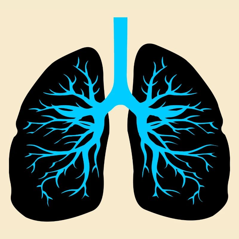 Respiratory therapist lungs