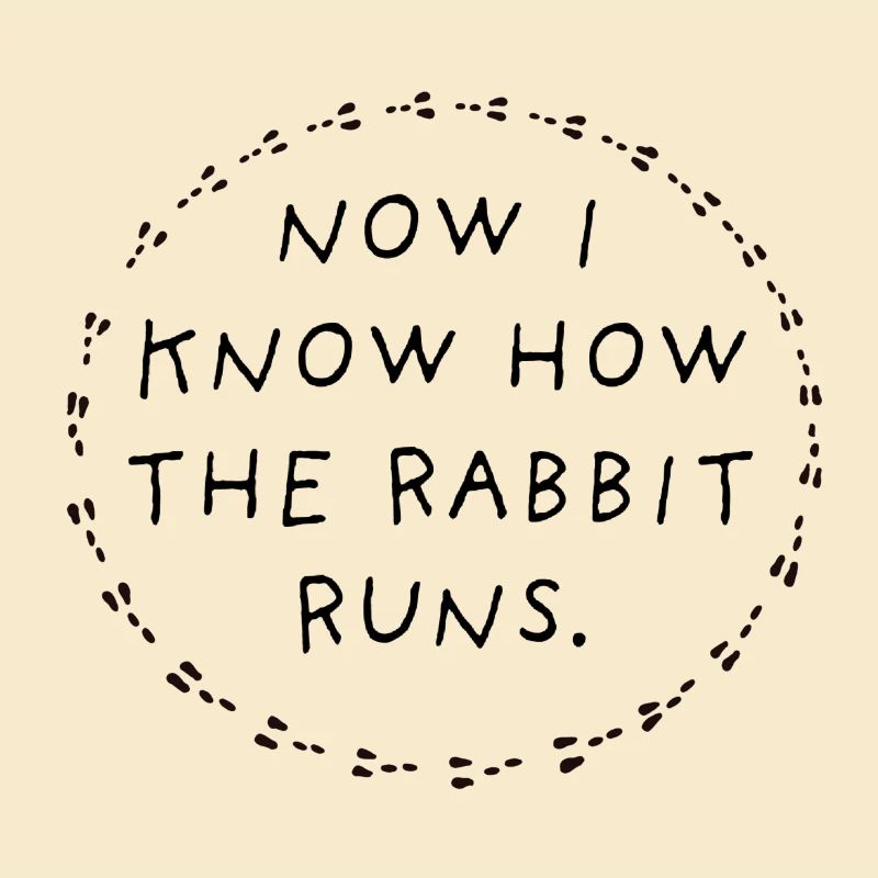 Now I know how the rabbit runs.
