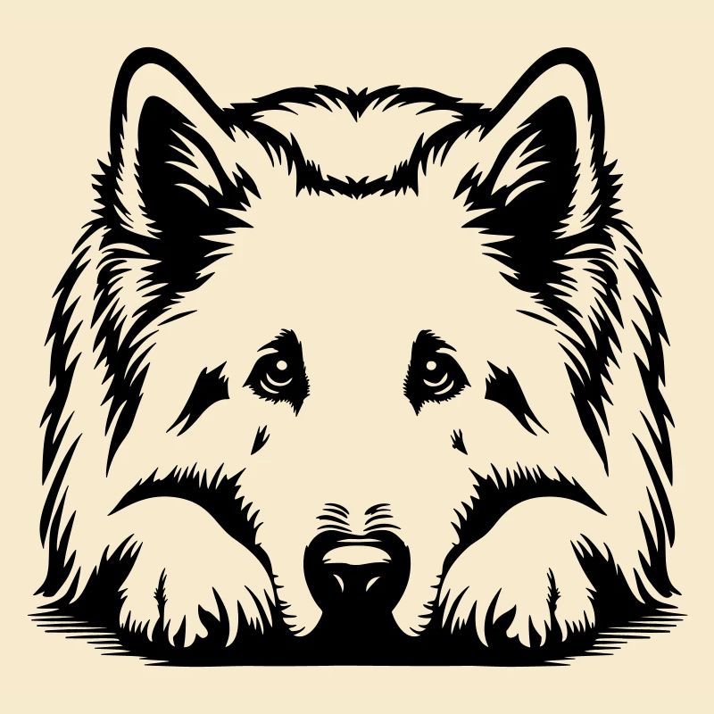 Schweizer Schäferhund
