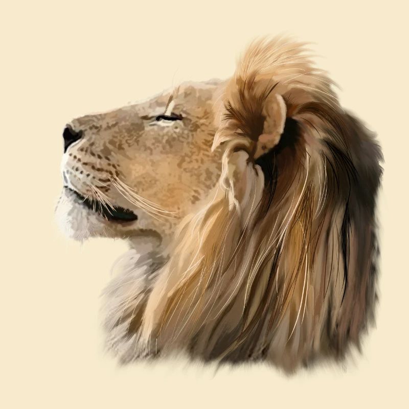 lion