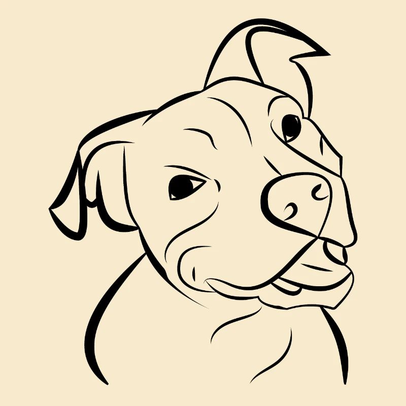 Hund Pitbull Hundekopf