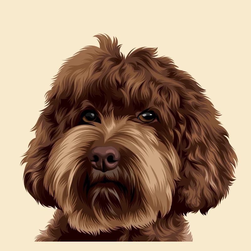 Schnoodle Doodle Dog