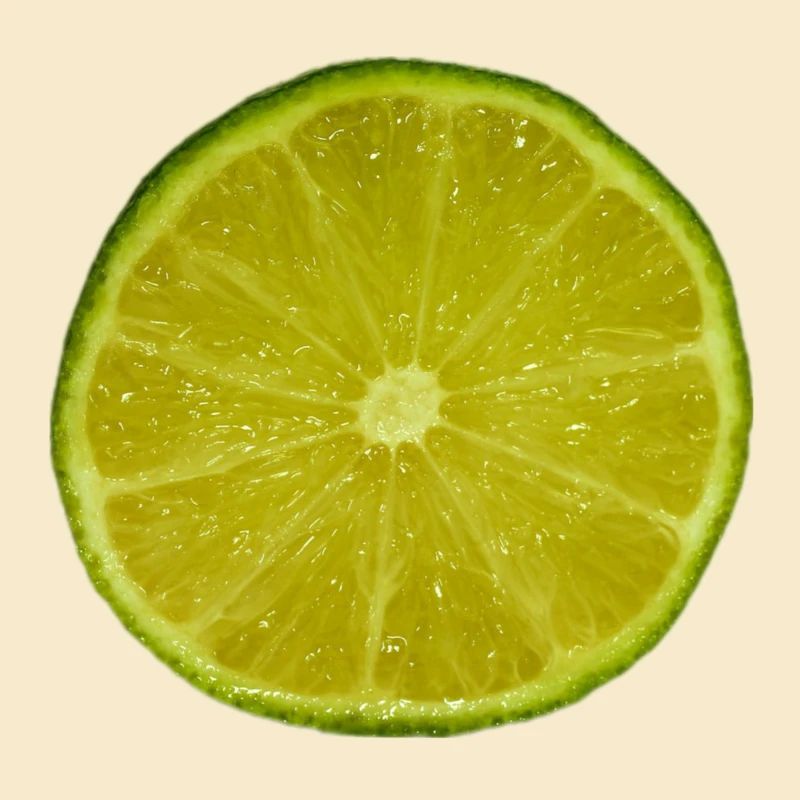 Lime Slice