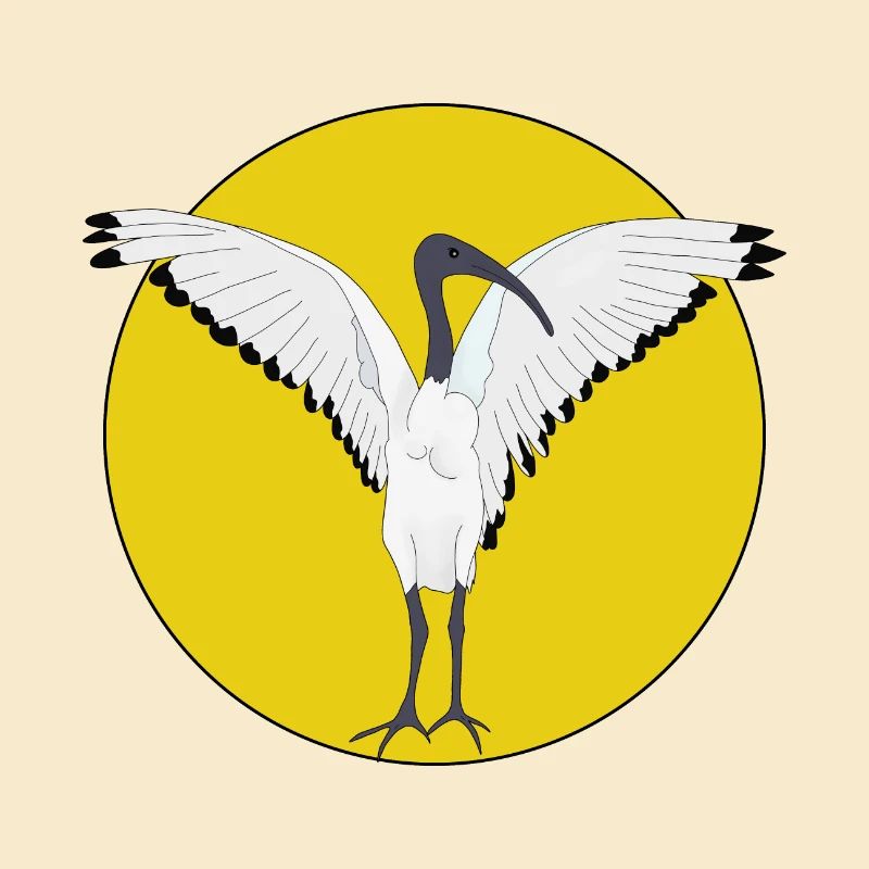 Bin Chicken Bird