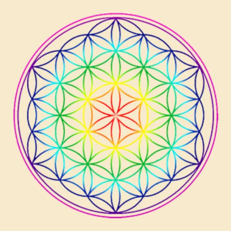 REGENBOGENBLUME DES LEBENS
