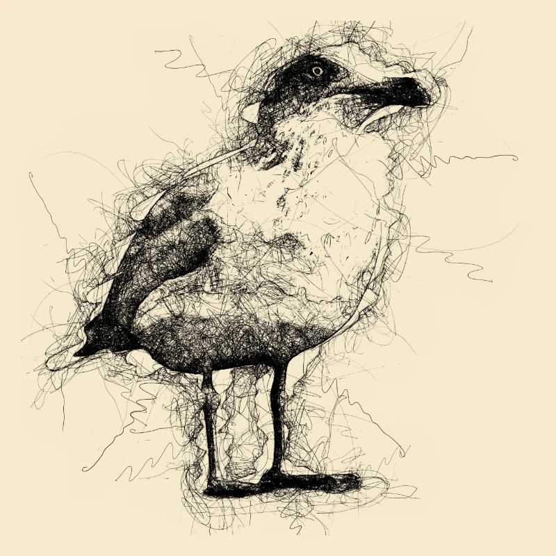 Möwe