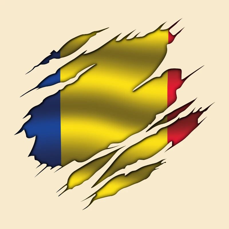Drapeau de la Roumanie - Roumanie - Drapeau déchiré