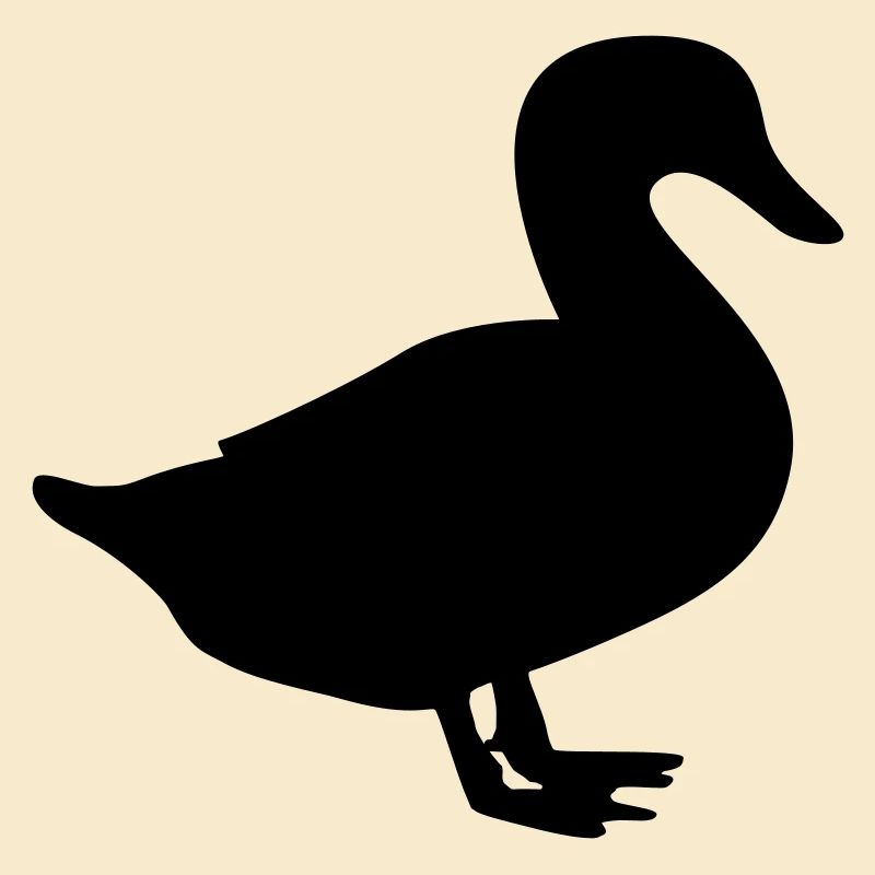 ente / duck / quack