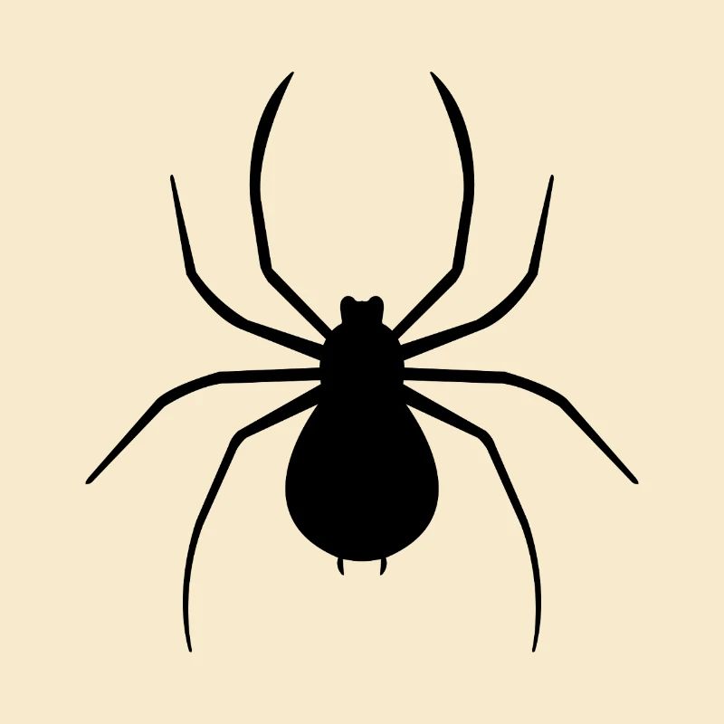 araignée