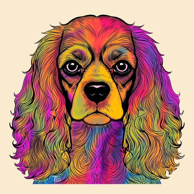 Cavalier King Charles Spaniel