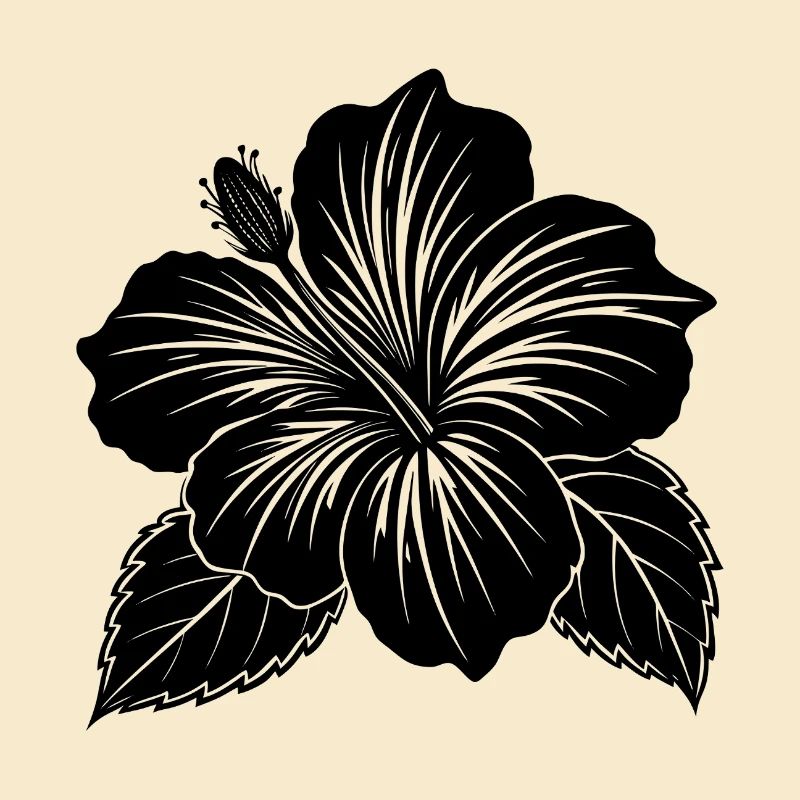 Fleur d’hibiscus