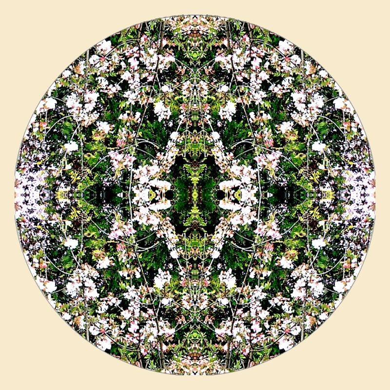 Source du Mandala de la Nature à Nuremberg