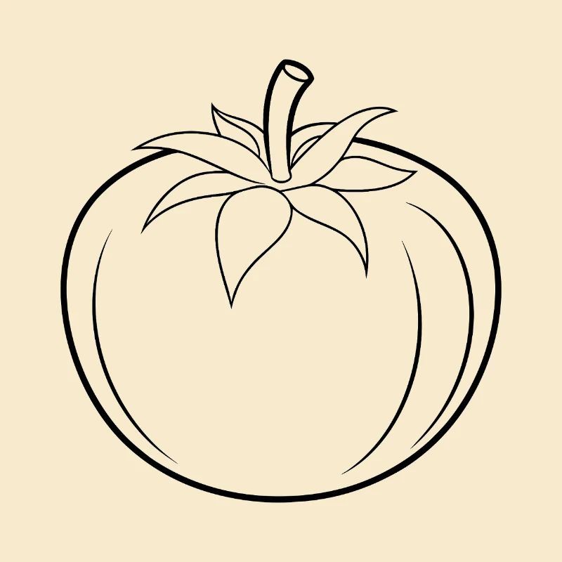 Contour de la tomate