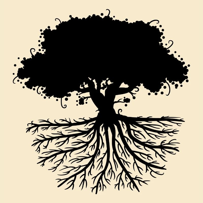 tree roots black