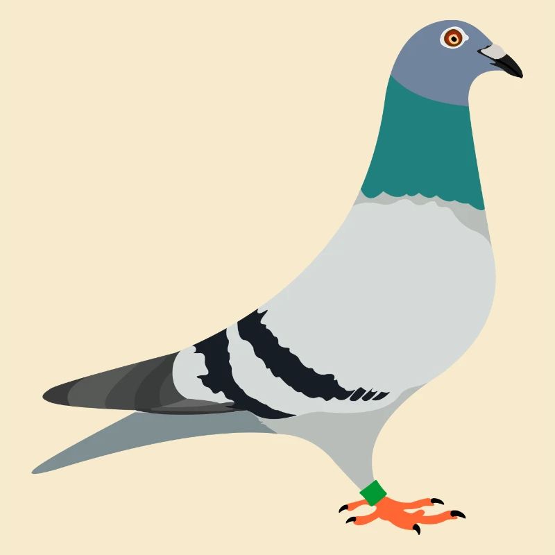 Brieftaube