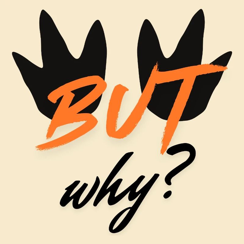 BUT Bold Blattenschrift Design
