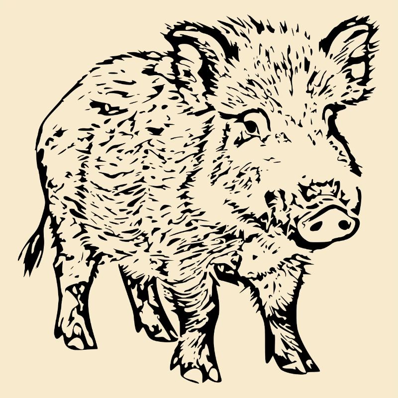 Wildschwein