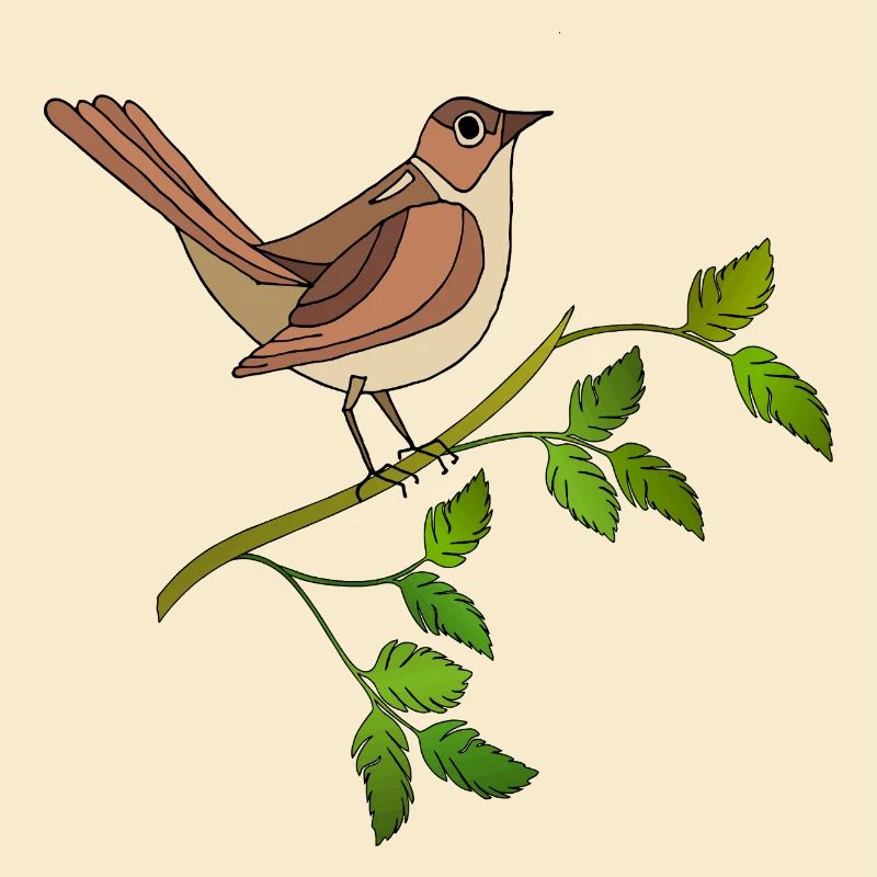 Bunter Vogel