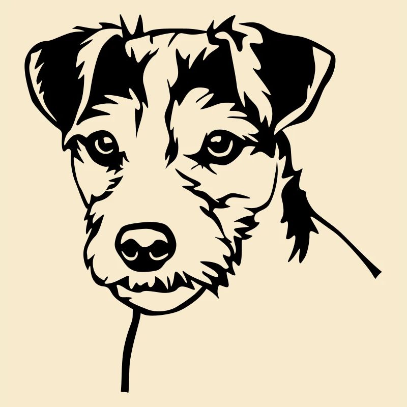 Parson Russell Terrier Kopf