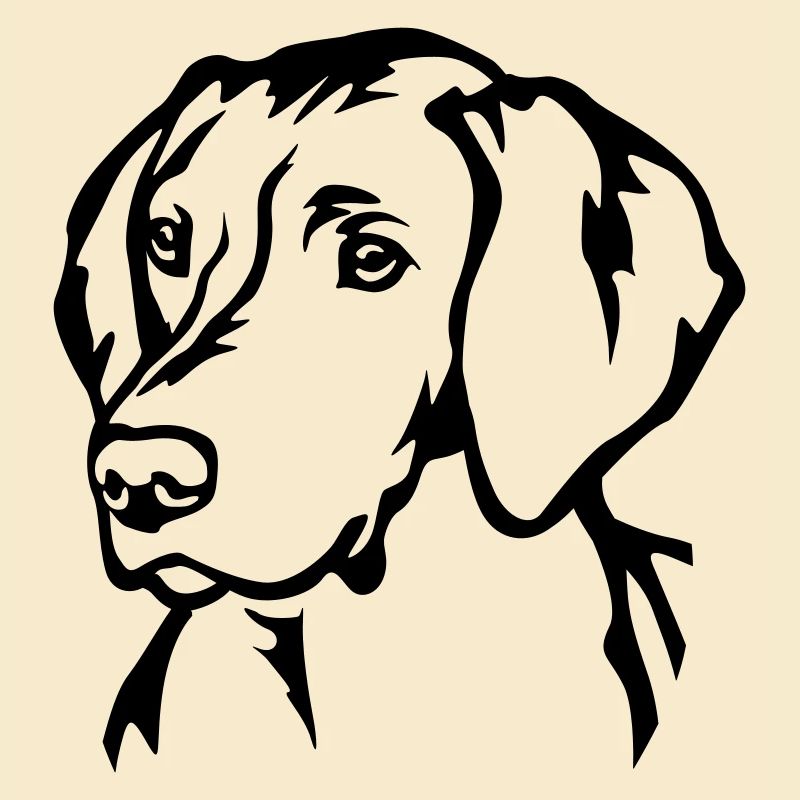 Magyar Vizsla Head