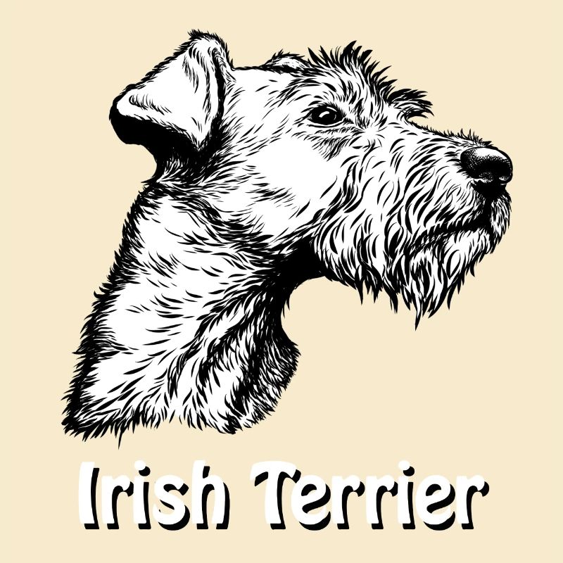 Irish Terrier Portrait