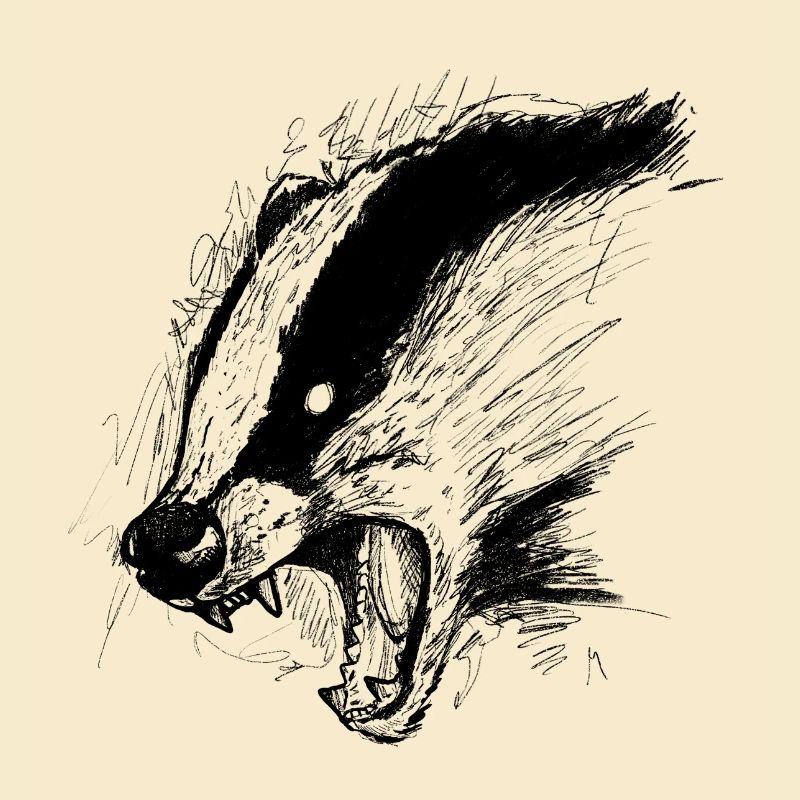 Dachs
