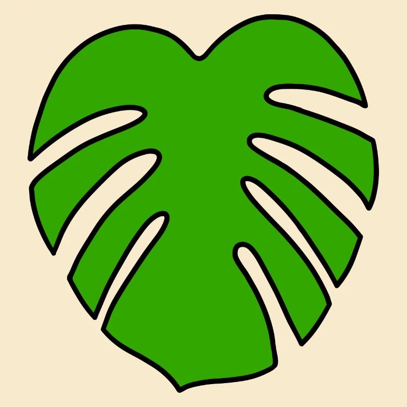 Monstera Pflanze