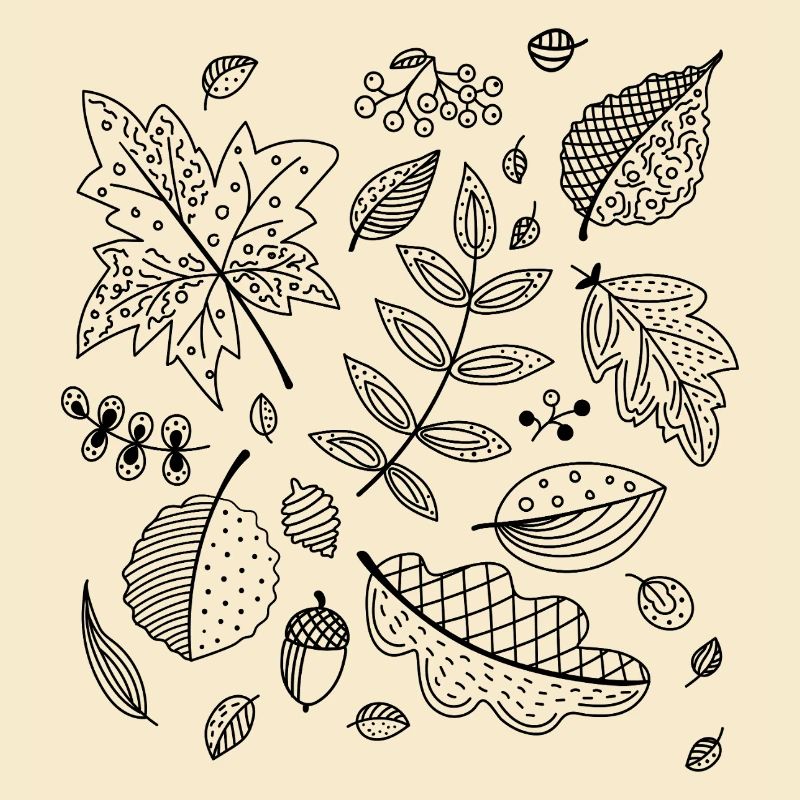 Feuilles d’automne