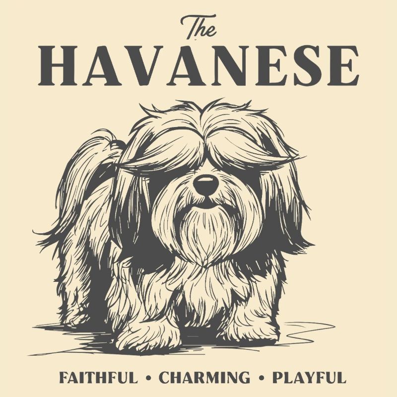 Havanese Charme Hundedesign