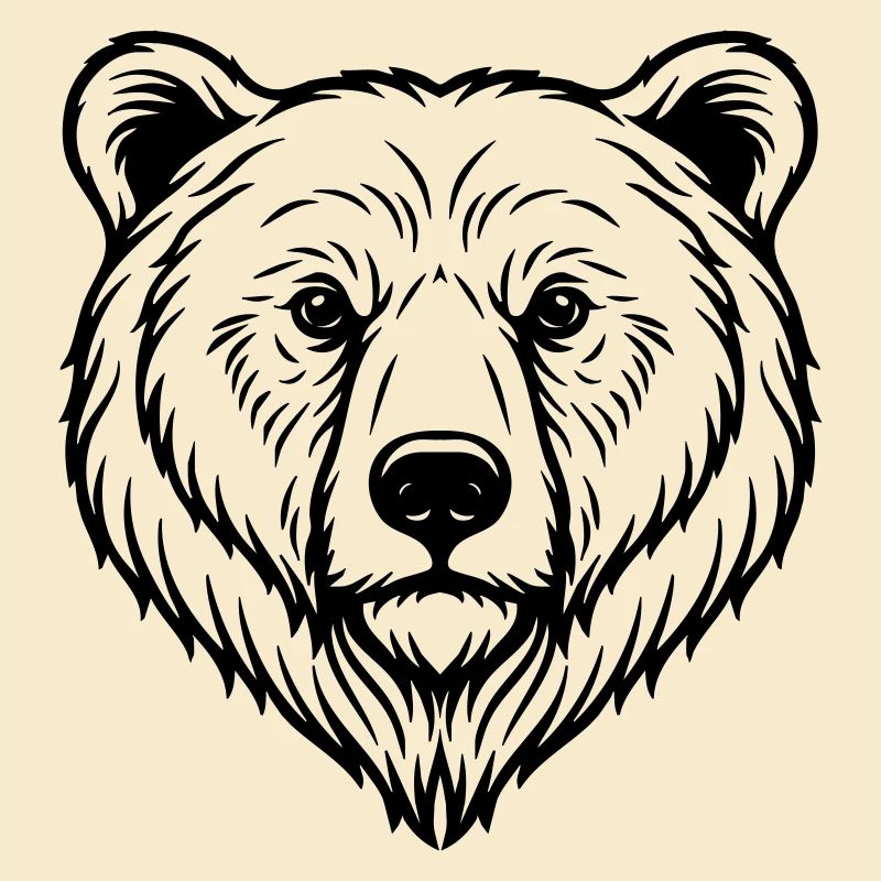 Bär Illustration