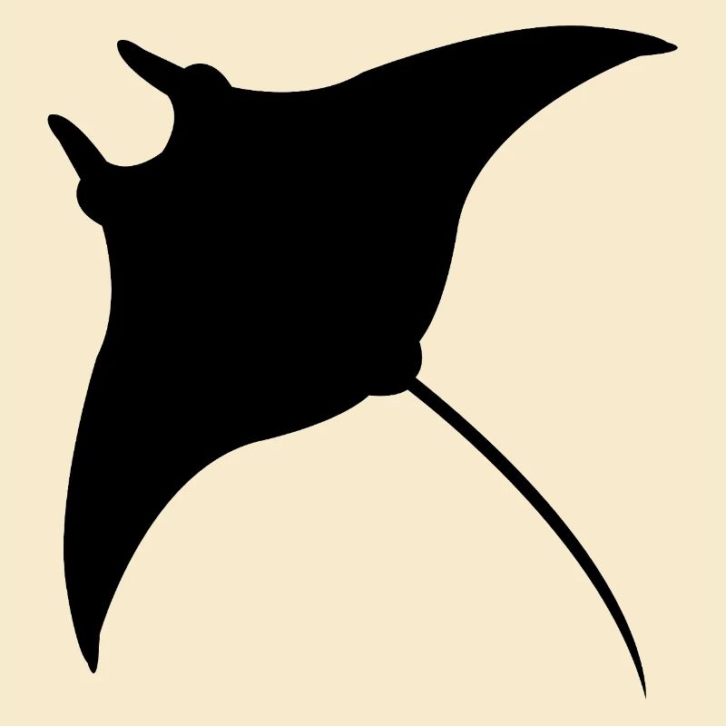 Manta Ray