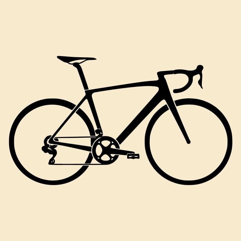 velo de course