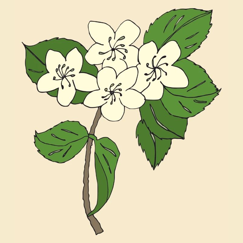 birnbaum blüten