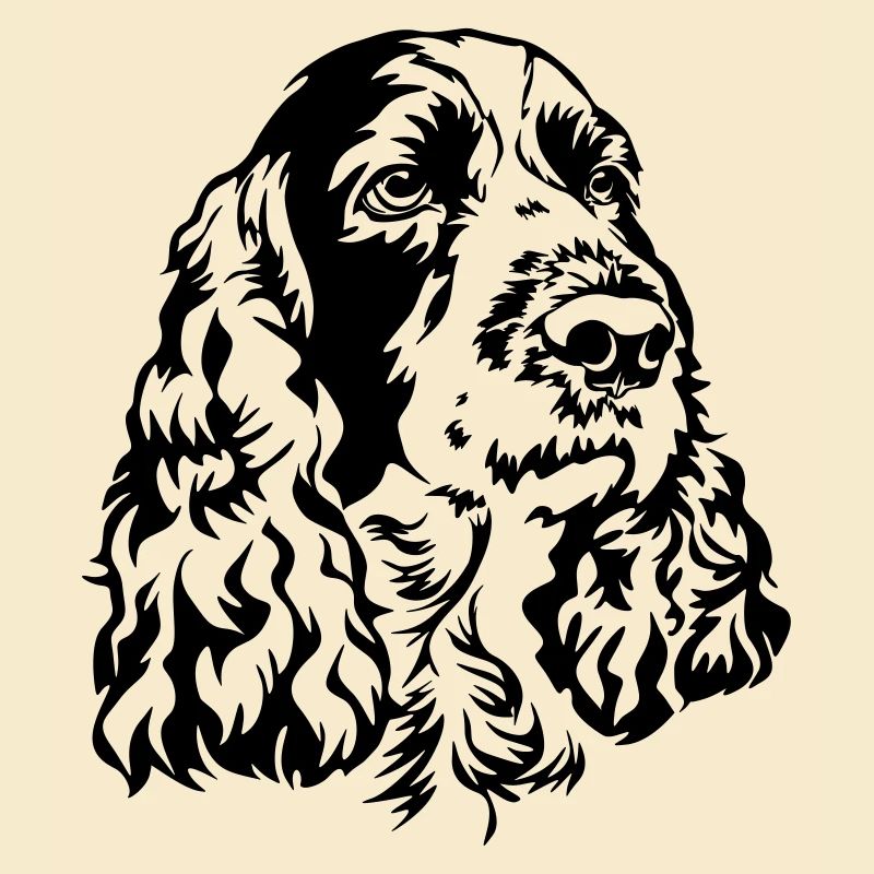 Englischer Springer Spaniel Kopf
