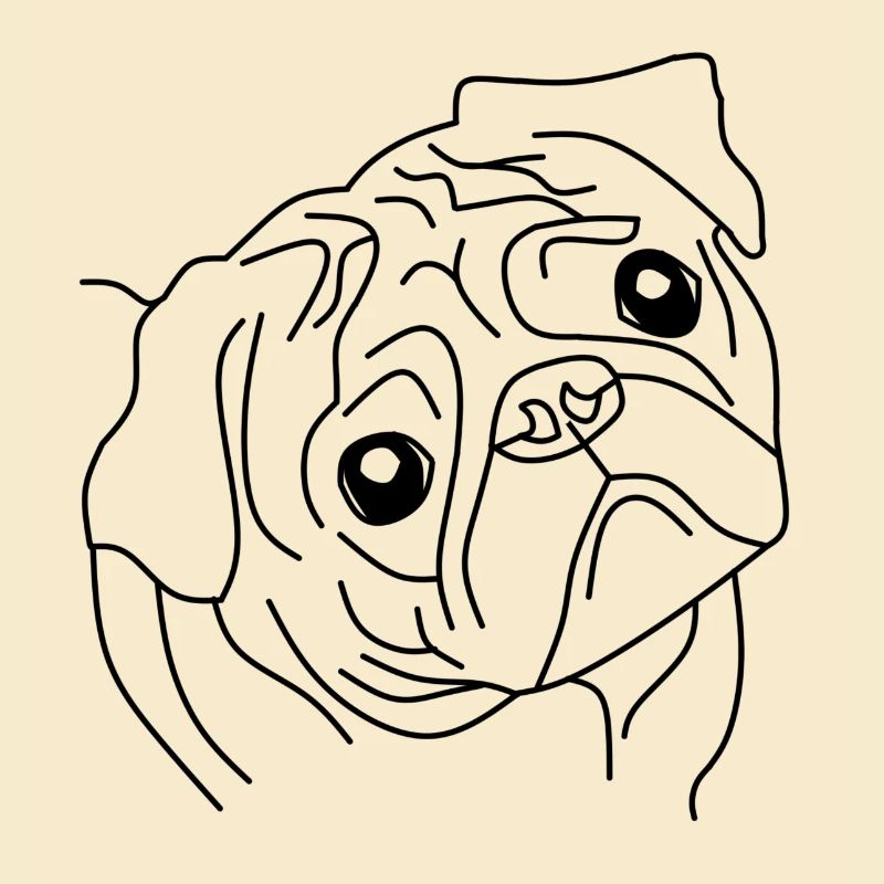 Pug Face - Le compagnon mignon