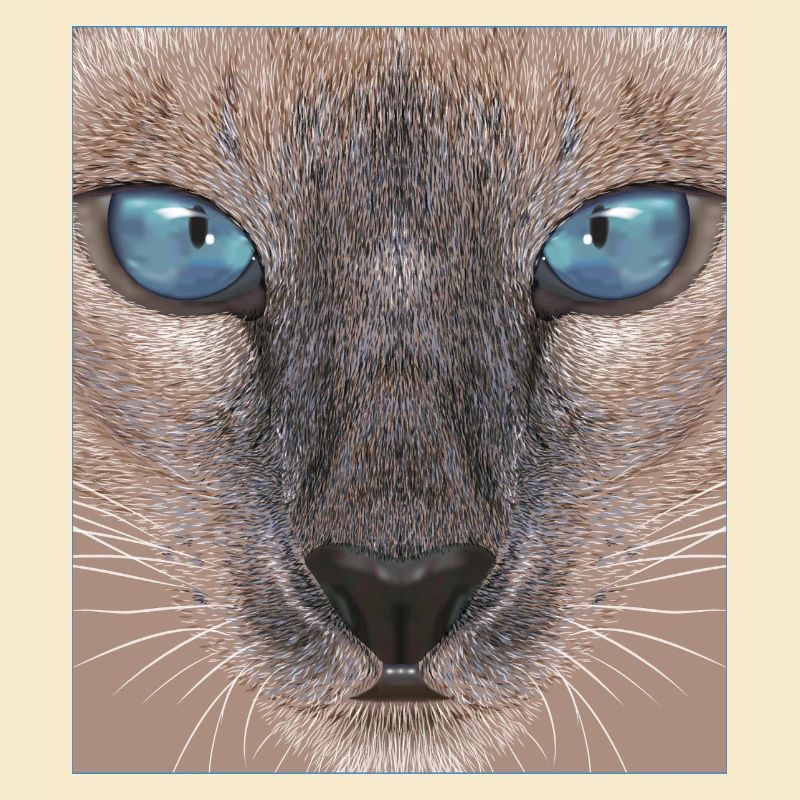 Siamkatze