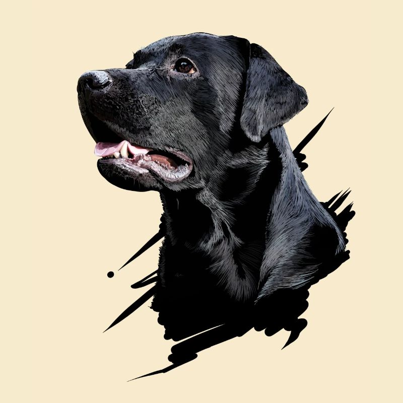 Labrador
