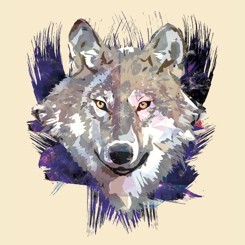Wolf | Tier | Grauer Wolf