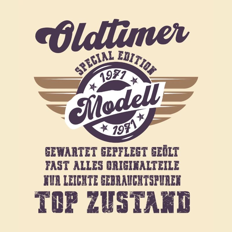 Oldtimer Modell Retro Flügel Geschenk