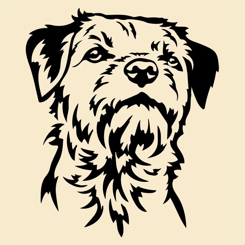 Border Terrier Head