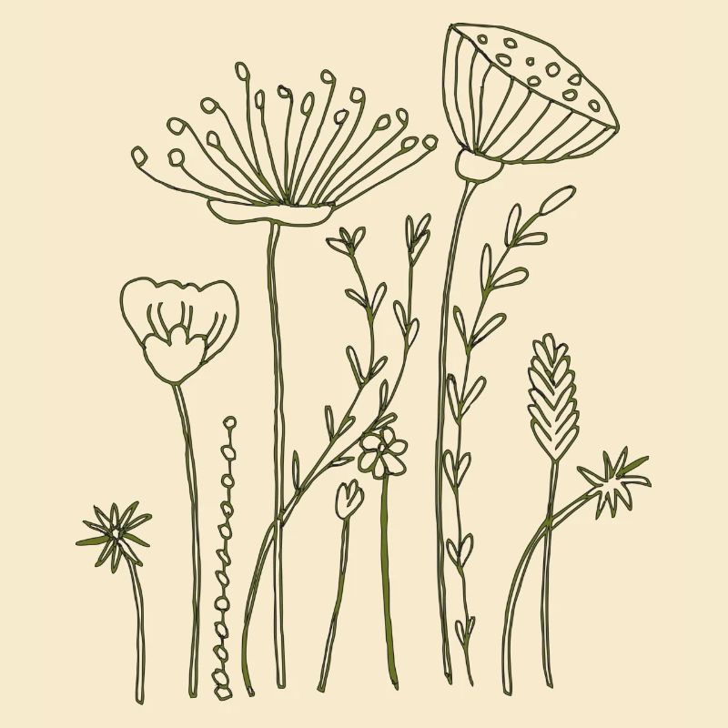 Fleurs séchées