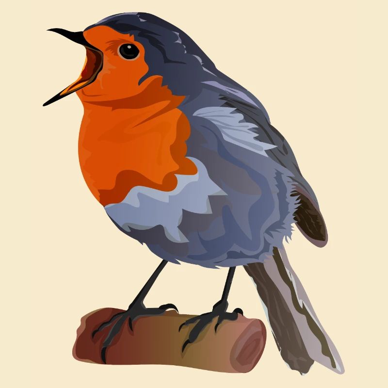 Robin Bird Illustration on Textile