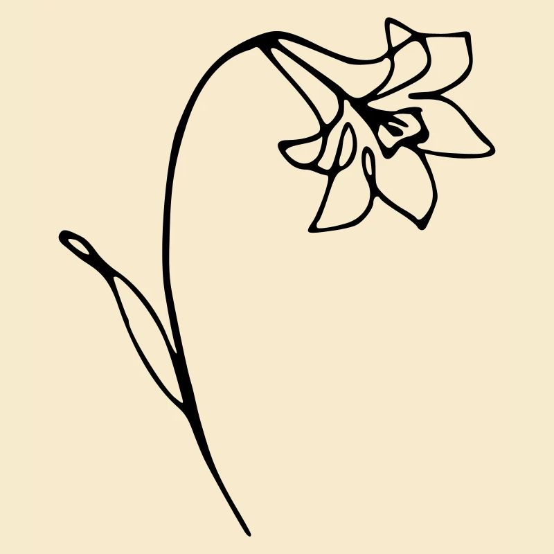 narcisse